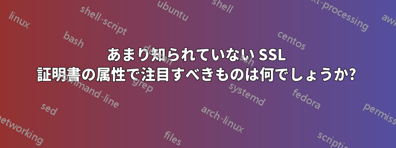 あまり知られていない SSL 証明書の属性で注目すべきものは何でしょうか?