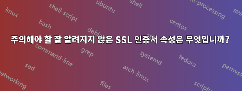 주의해야 할 잘 알려지지 않은 SSL 인증서 속성은 무엇입니까?