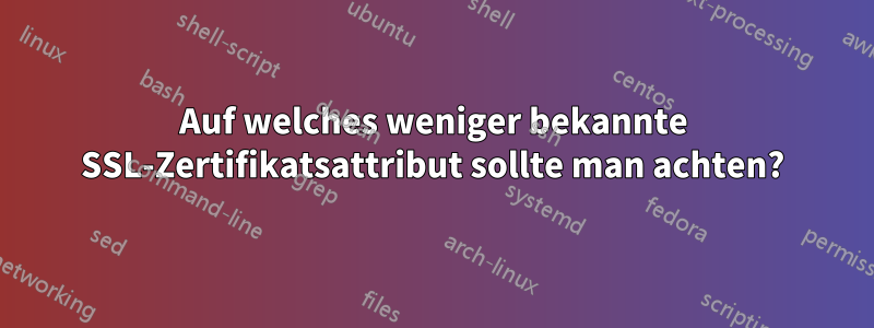 Auf welches weniger bekannte SSL-Zertifikatsattribut sollte man achten?