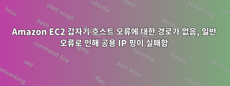 Amazon EC2 갑자기 호스트 오류에 대한 경로가 없음, 일반 오류로 인해 공용 IP 핑이 실패함