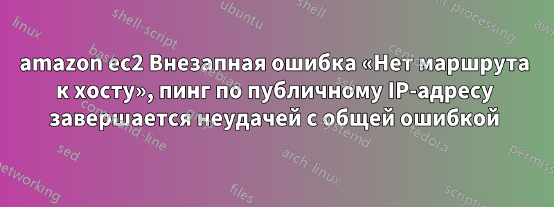 amazon ec2 Внезапная ошибка «Нет маршрута к хосту», пинг по публичному IP-адресу завершается неудачей с общей ошибкой