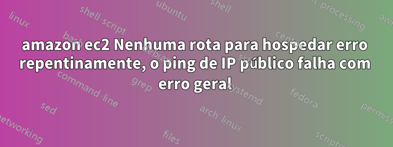 amazon ec2 Nenhuma rota para hospedar erro repentinamente, o ping de IP público falha com erro geral