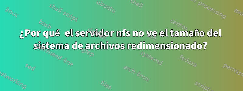 ¿Por qué el servidor nfs no ve el tamaño del sistema de archivos redimensionado?