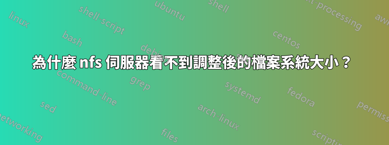 為什麼 nfs 伺服器看不到調整後的檔案系統大小？