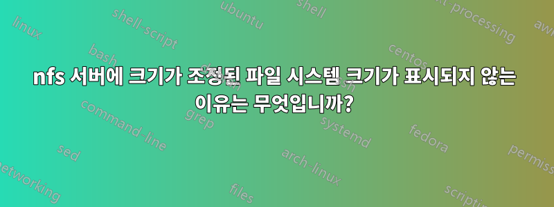 nfs 서버에 크기가 조정된 파일 시스템 크기가 표시되지 않는 이유는 무엇입니까?