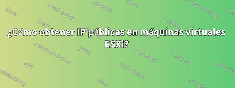 ¿Cómo obtener IP públicas en máquinas virtuales ESXi?