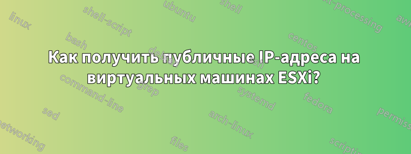 Как получить публичные IP-адреса на виртуальных машинах ESXi?