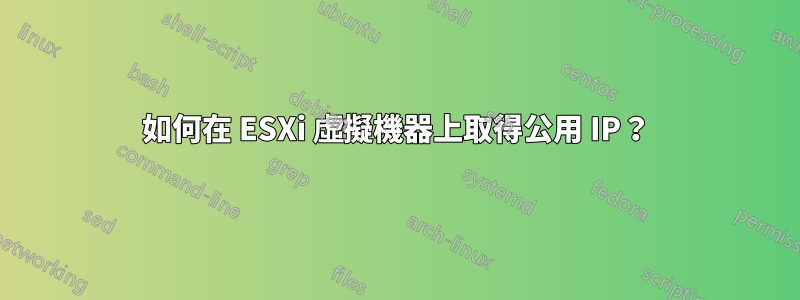 如何在 ESXi 虛擬機器上取得公用 IP？