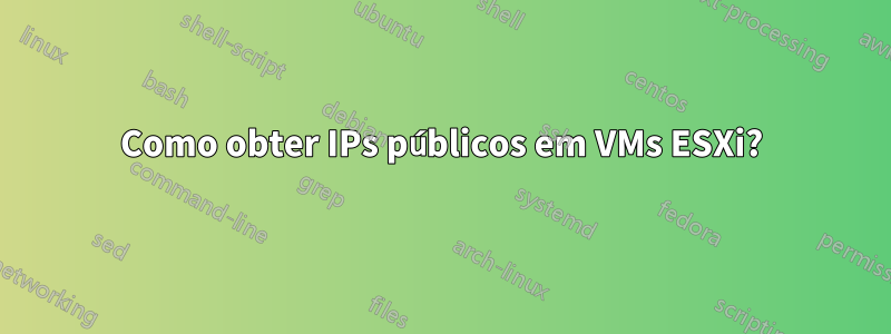 Como obter IPs públicos em VMs ESXi?