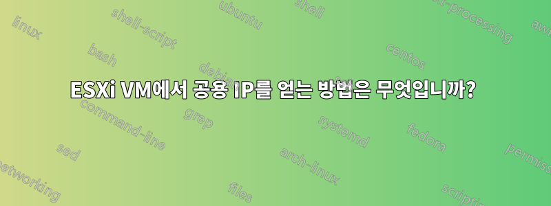 ESXi VM에서 공용 IP를 얻는 방법은 무엇입니까?