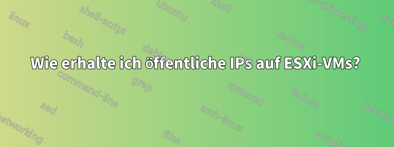 Wie erhalte ich öffentliche IPs auf ESXi-VMs?