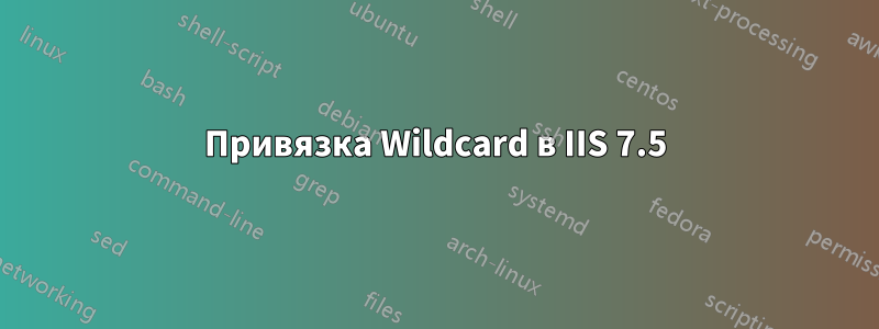 Привязка Wildcard в IIS 7.5