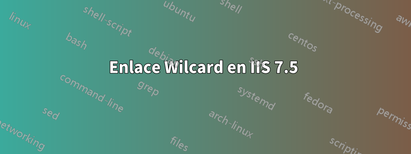 Enlace Wilcard en IIS 7.5