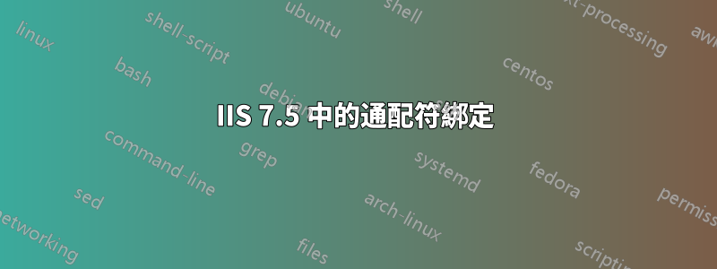 IIS 7.5 中的通配符綁定