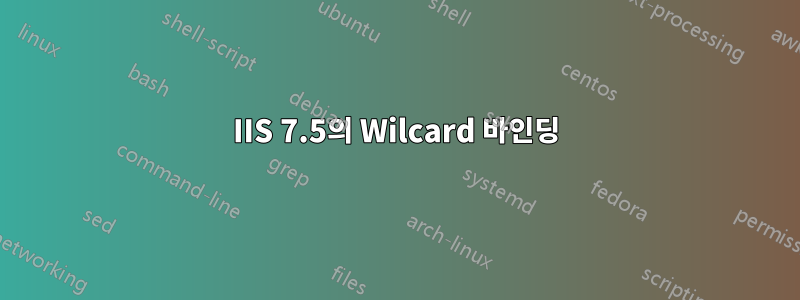 IIS 7.5의 Wilcard 바인딩