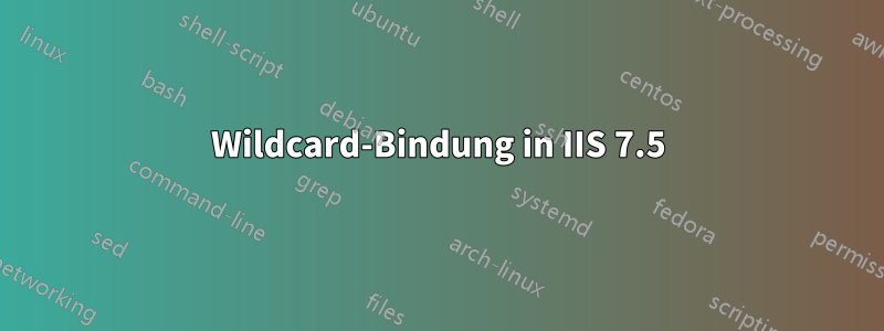 Wildcard-Bindung in IIS 7.5