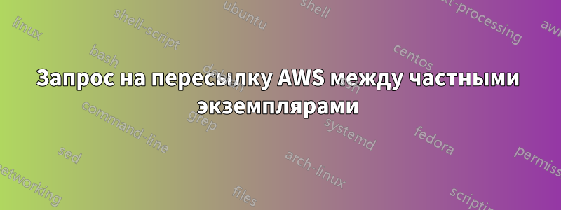 Запрос на пересылку AWS между частными экземплярами