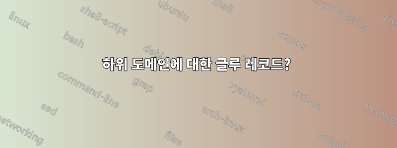 하위 도메인에 대한 글루 레코드?