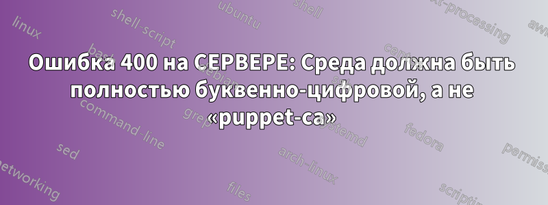 Ошибка 400 на СЕРВЕРЕ: Среда должна быть полностью буквенно-цифровой, а не «puppet-ca»