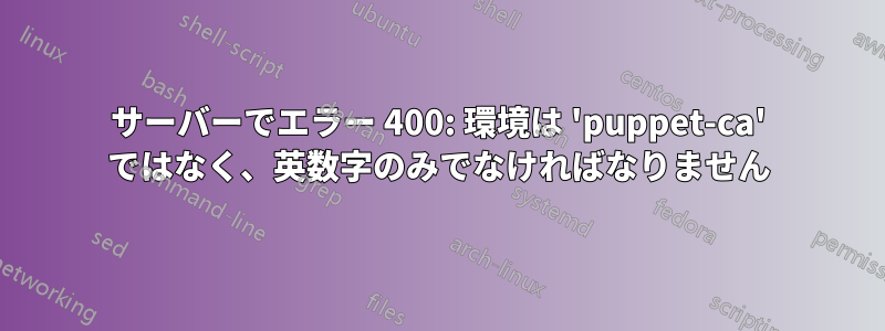 サーバーでエラー 400: 環境は 'puppet-ca' ではなく、英数字のみでなければなりません