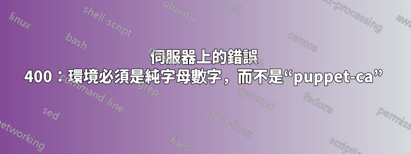 伺服器上的錯誤 400：環境必須是純字母數字，而不是“puppet-ca”