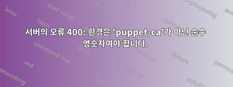 서버의 오류 400: 환경은 'puppet-ca'가 아닌 순수 영숫자여야 합니다.