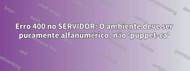 Erro 400 no SERVIDOR: O ambiente deve ser puramente alfanumérico, não 'puppet-ca'