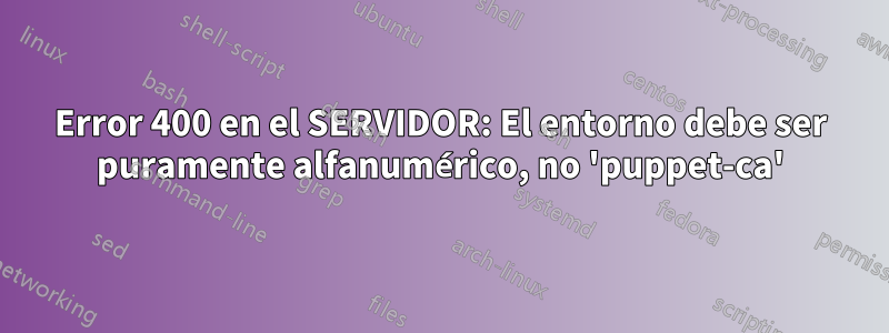 Error 400 en el SERVIDOR: El entorno debe ser puramente alfanumérico, no 'puppet-ca'