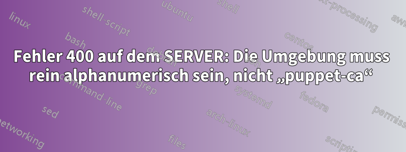 Fehler 400 auf dem SERVER: Die Umgebung muss rein alphanumerisch sein, nicht „puppet-ca“