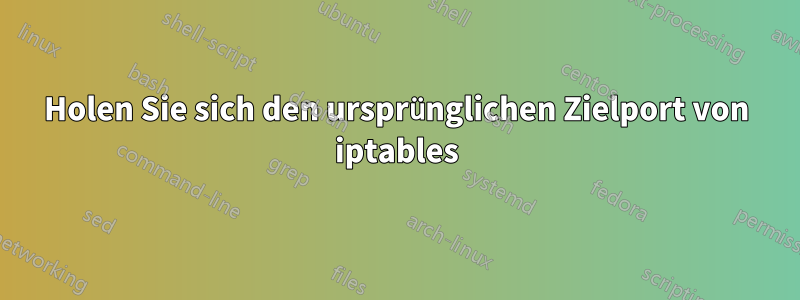 Holen Sie sich den ursprünglichen Zielport von iptables