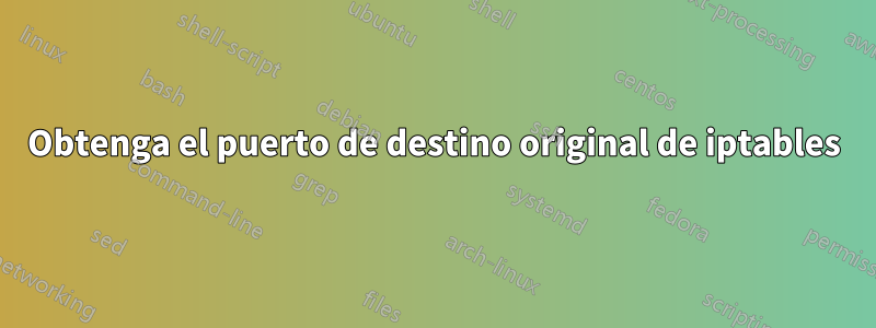 Obtenga el puerto de destino original de iptables