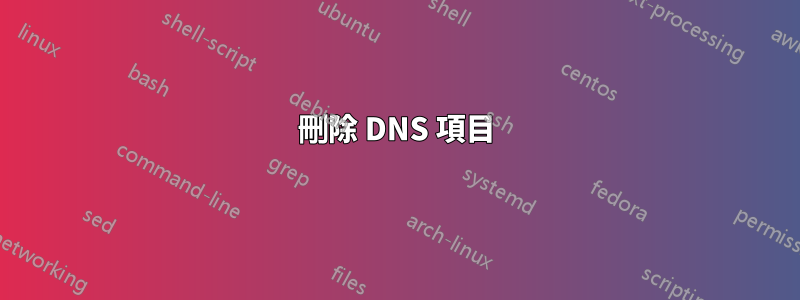 刪除 DNS 項目