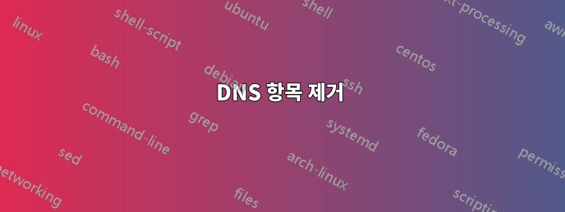 DNS 항목 제거