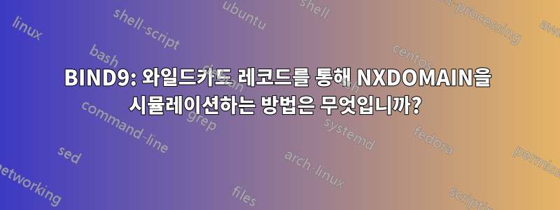 BIND9: 와일드카드 레코드를 통해 NXDOMAIN을 시뮬레이션하는 방법은 무엇입니까? 