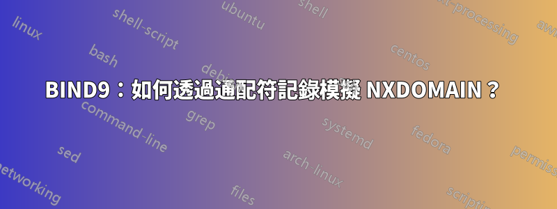 BIND9：如何透過通配符記錄模擬 NXDOMAIN？ 