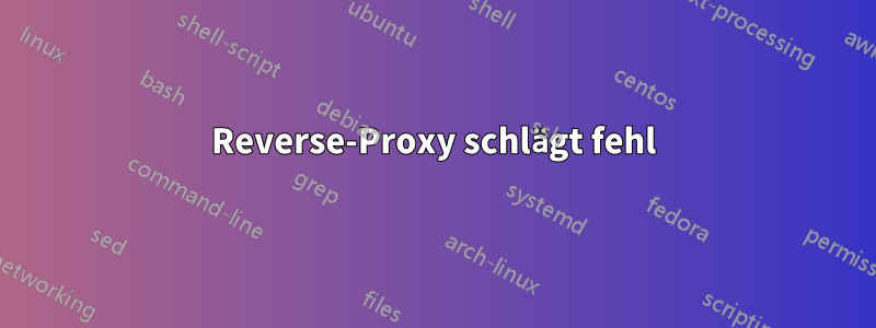 Reverse-Proxy schlägt fehl