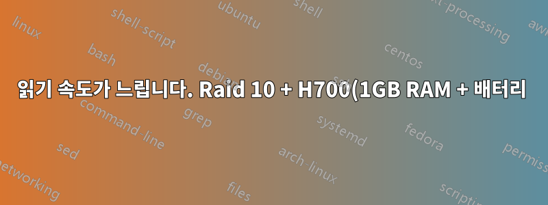 읽기 속도가 느립니다. Raid 10 + H700(1GB RAM + 배터리) + 4x 450 Hitachi 15K