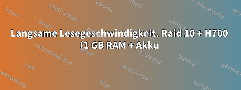 Langsame Lesegeschwindigkeit. Raid 10 + H700 (1 GB RAM + Akku) + 4 x 450 Hitachi 15K
