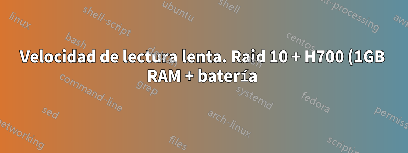 Velocidad de lectura lenta. Raid 10 + H700 (1GB RAM + batería) + 4x 450 Hitachi 15K