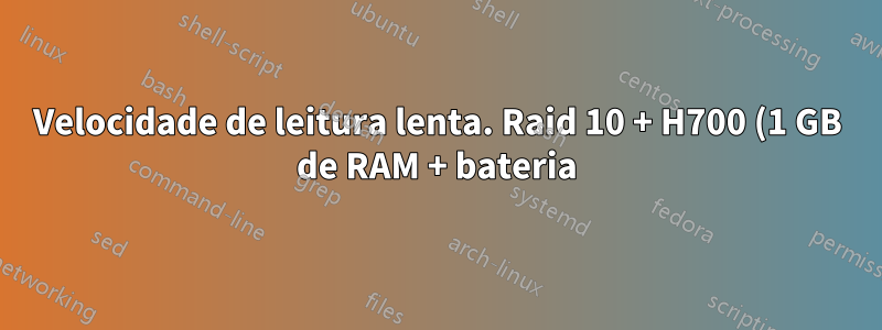 Velocidade de leitura lenta. Raid 10 + H700 (1 GB de RAM + bateria) + 4x 450 Hitachi 15K
