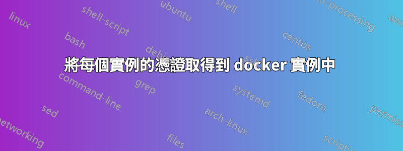 將每個實例的憑證取得到 docker 實例中