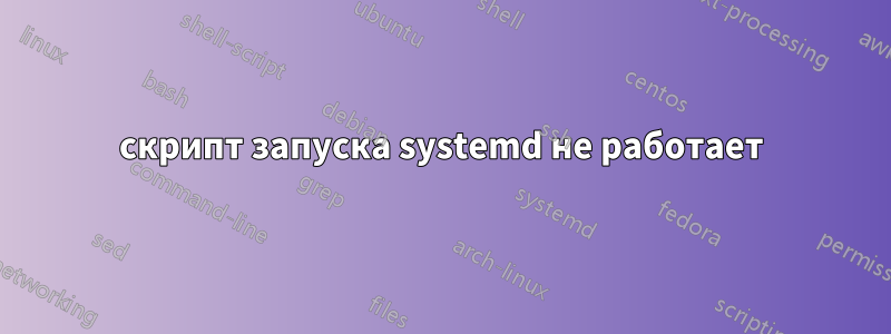 скрипт запуска systemd не работает