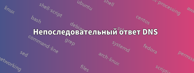 Непоследовательный ответ DNS 