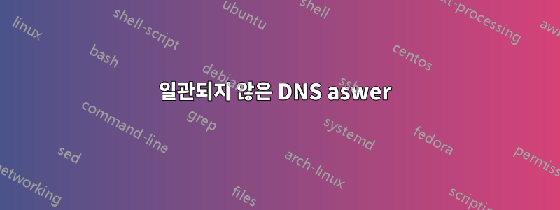 일관되지 않은 DNS aswer 