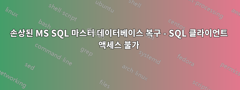 손상된 MS SQL 마스터 데이터베이스 복구 - SQL 클라이언트 액세스 불가