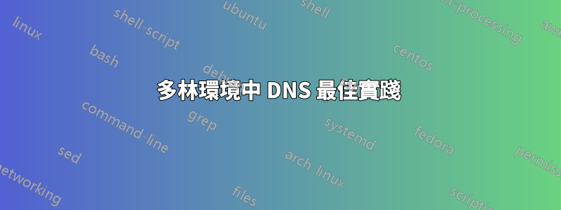 多林環境中 DNS 最佳實踐