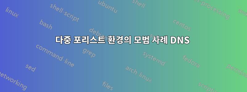 다중 포리스트 환경의 모범 사례 DNS