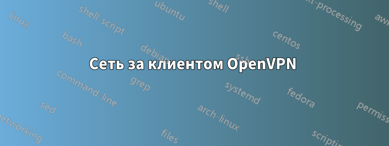 Сеть за клиентом OpenVPN