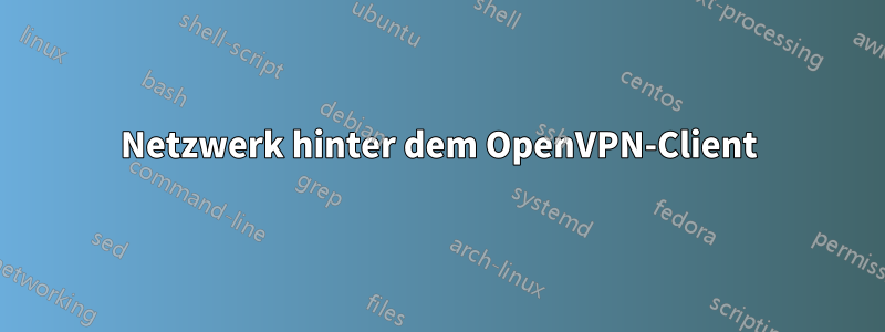 Netzwerk hinter dem OpenVPN-Client