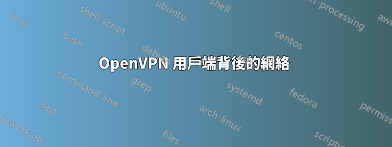 OpenVPN 用戶端背後的網絡